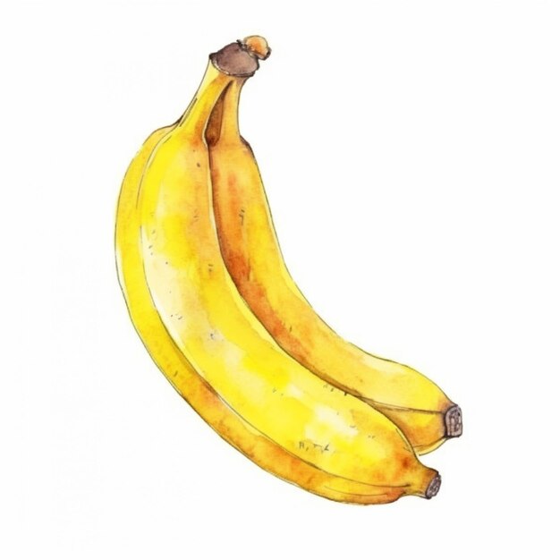 Un dipinto ad acquerello di banane su uno sfondo bianco.