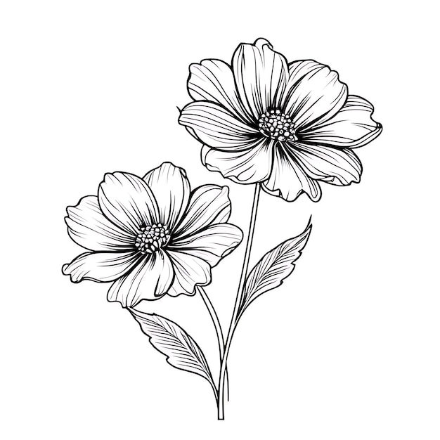 un disegno di fiori con le parole "fiori" sopra