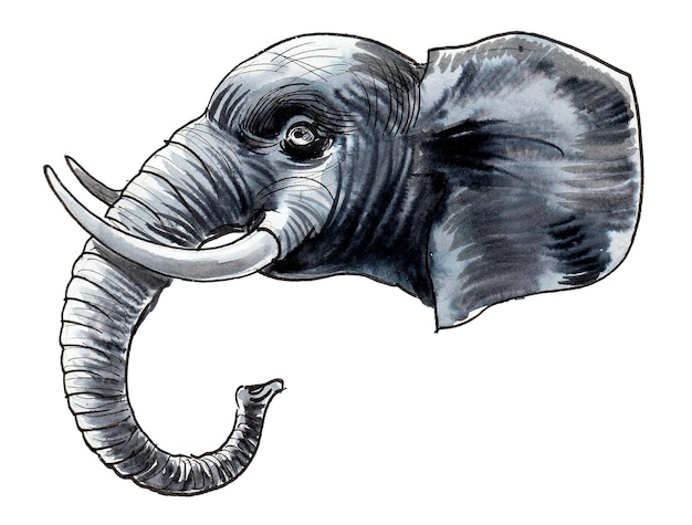 Un disegno di un elefante con una grande proboscide e zanne.