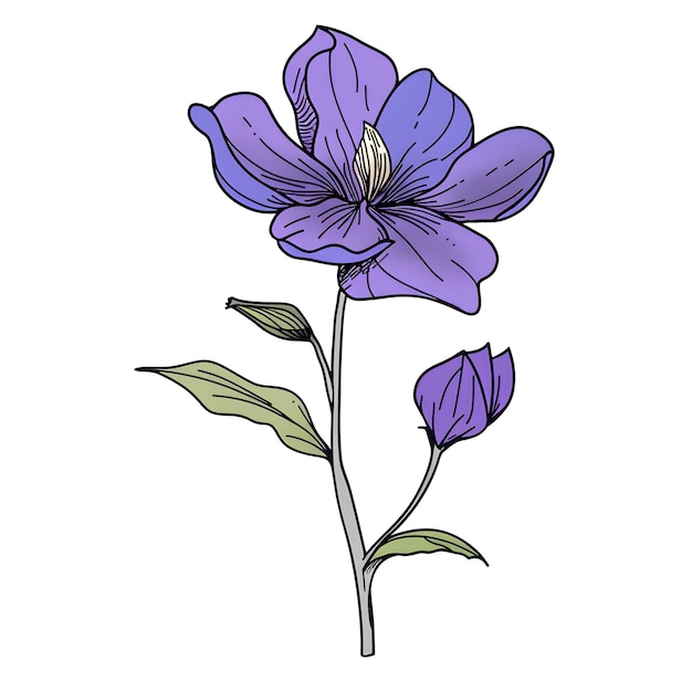 Un disegno di un fiore viola con un gambo