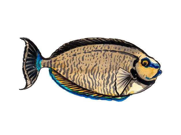 Un disegno di un pesce che è blu e giallo.