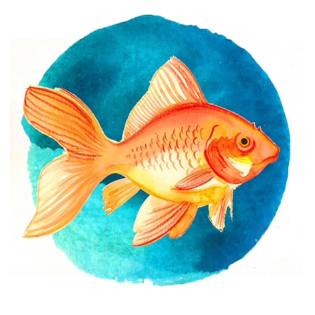 Un disegno di un pesce rosso con uno sfondo blu