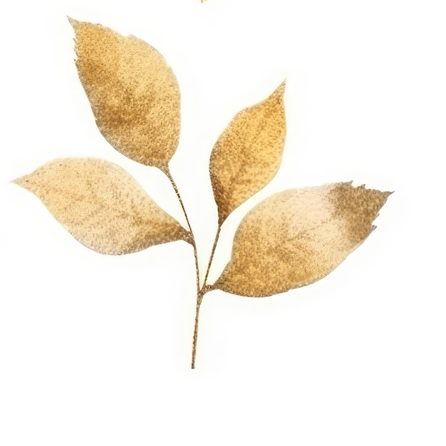 Un disegno di una pianta con sopra la parola "foglia".