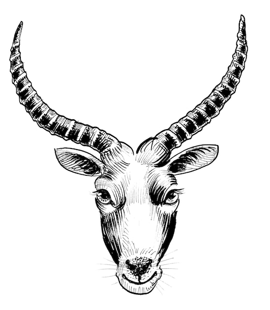 Un disegno di una testa di capra con le corna.