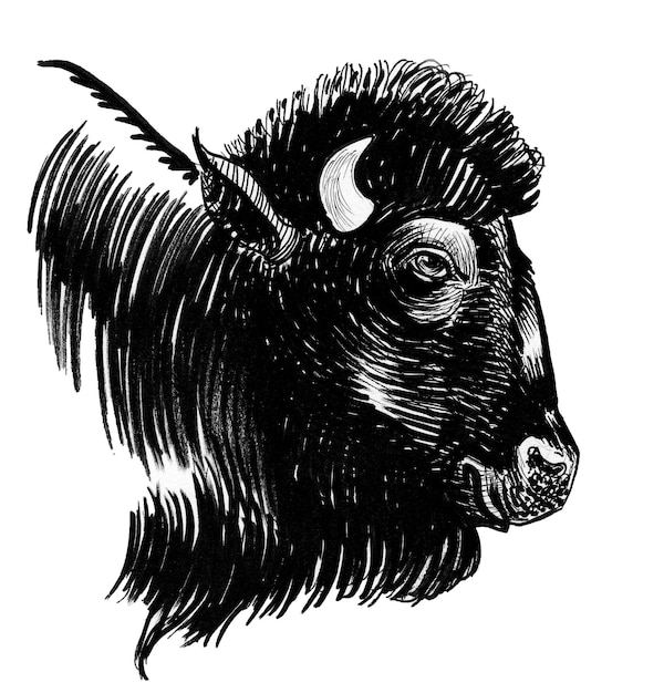 Un disegno in bianco e nero di una testa di bisonte.