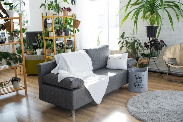 Un divano moderno grigio con un plaid bianco in un interno in stile loft e una casa verde con piante in vaso