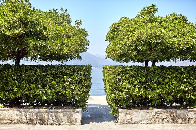 Un divario tra cespugli verdi e alberi a picco sul mare, montagne e cielo blu