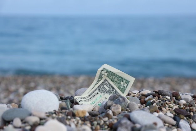 Un dollaro mezzo coperto di rocce rotonde si trova sulla spiaggia