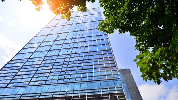 Un edificio con un albero sullo sfondo