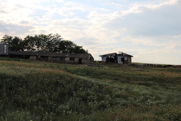 Un edificio in un campo