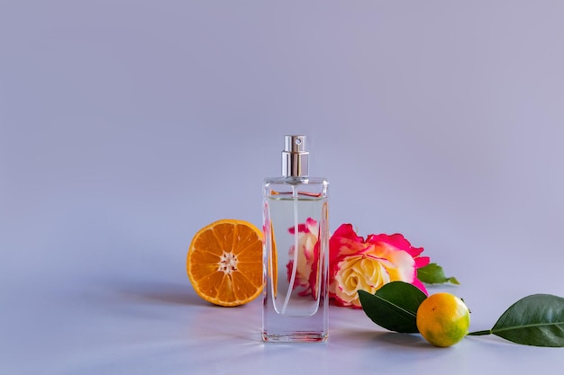 Un'elegante bottiglia di profumo da donna o acqua da toletta sullo sfondo di una rosa colorata e fette di agrumi bottiglia senza nome per la pubblicità