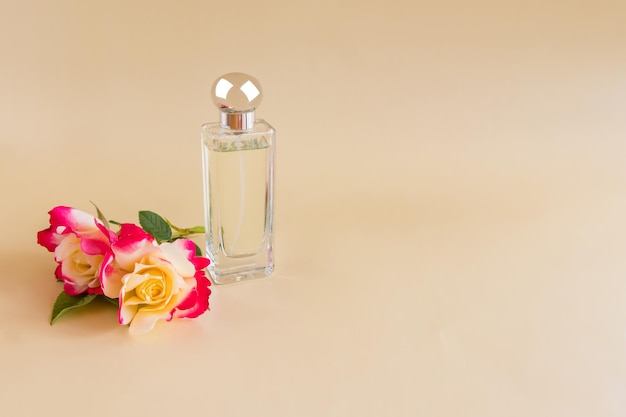 Un'elegante bottiglia trasparente di profumo femminile e due rose fresche composizione minimalismo presentazione del profumo femminile una copia dello spazio