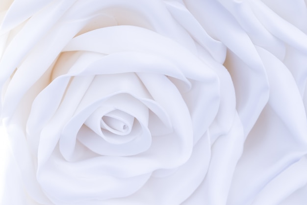 Un'enorme, grande rosa decorativa bianca