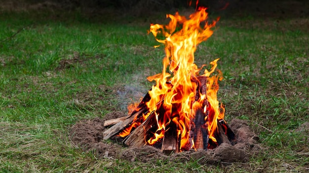 Un falò ardente in una radura nella foresta.