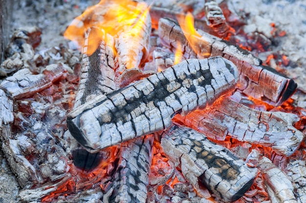 Un falò ardente, legna ardente. falò ardente nella foresta. Combustione di fuoco. Braci del falò del fuoco di struttura.