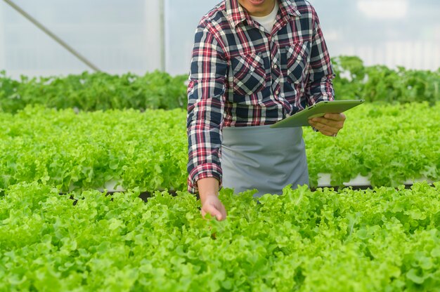 Un felice agricoltore maschio che lavora utilizzando tablet in una fattoria idroponica in serra, cibo pulito e concetto di alimentazione sana