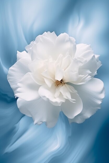 un fiore bianco con un centro dorato e uno sfondo blu.