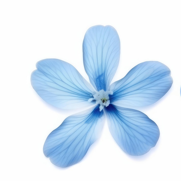 Un fiore blu con sopra un fiore bianco