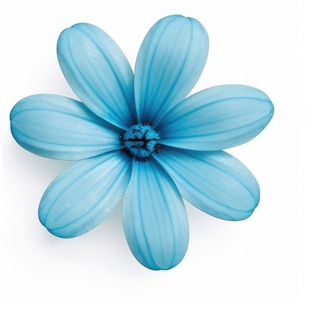 Un fiore blu con un centro blu che dice "blu".