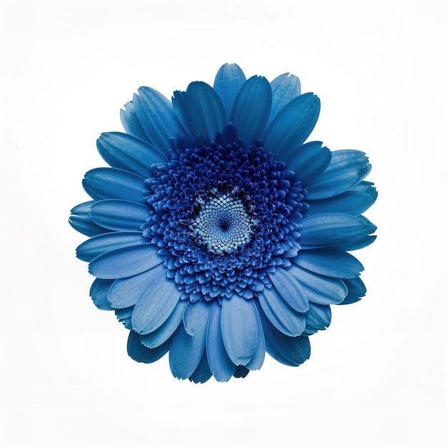 Un fiore blu con uno sfondo bianco e uno sfondo bianco.