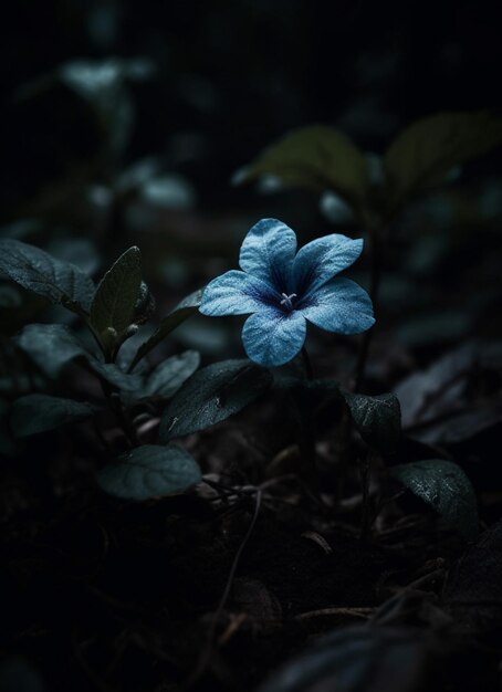 Un fiore blu nel buio