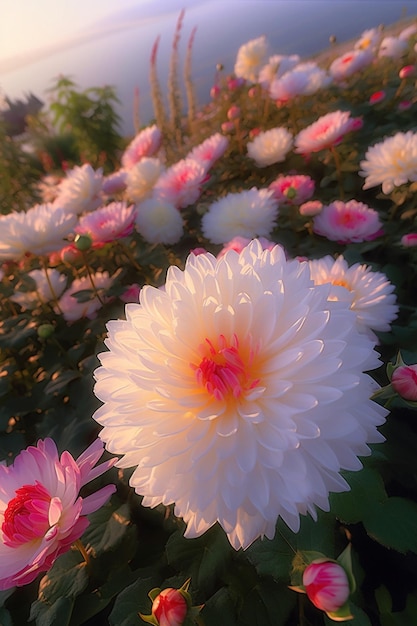 Un fiore che è in mezzo ad un campo di fiori