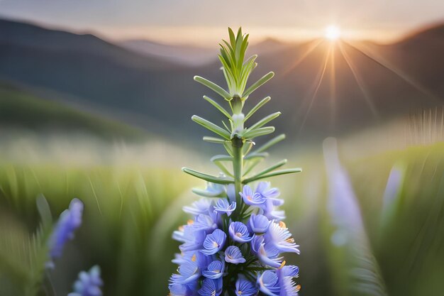 Un fiore con il sole alle spalle