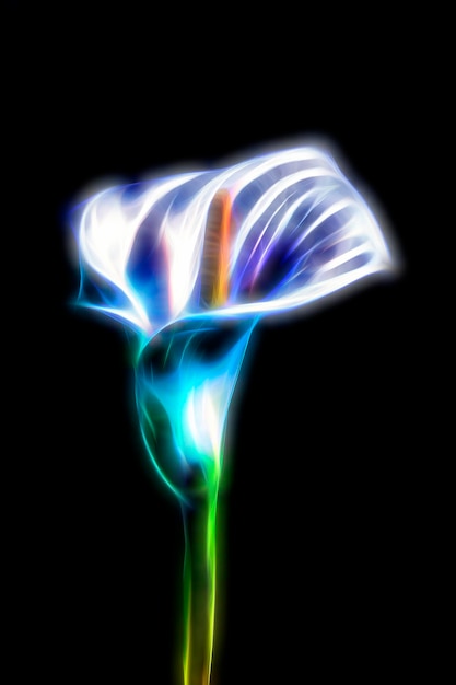Un fiore con una luce blu e verde su di esso