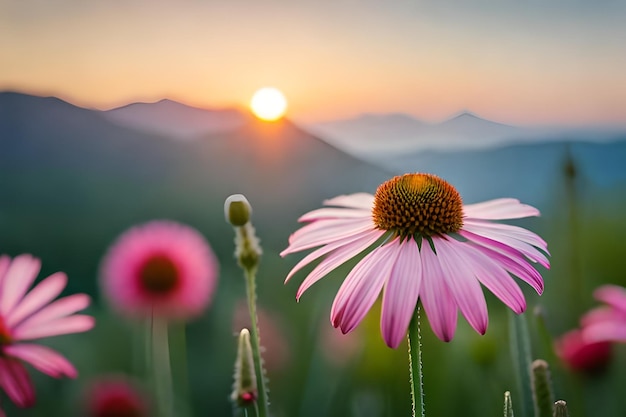 Un fiore davanti a un tramonto