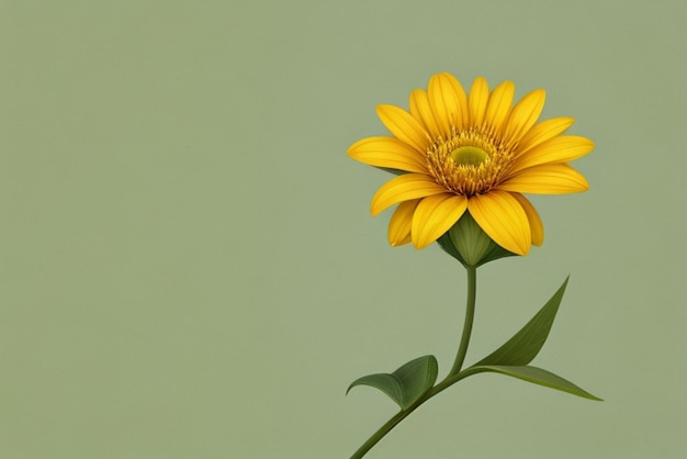 Un fiore giallo su uno sfondo verde