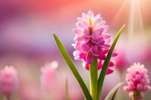 Un fiore in un campo di fiori