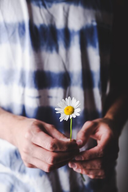 Un fiore margherita nelle mani