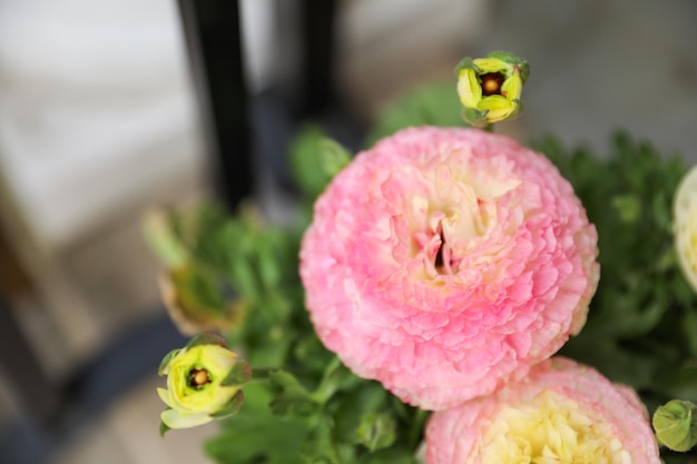 Un fiore rosa con fiori gialli in cima