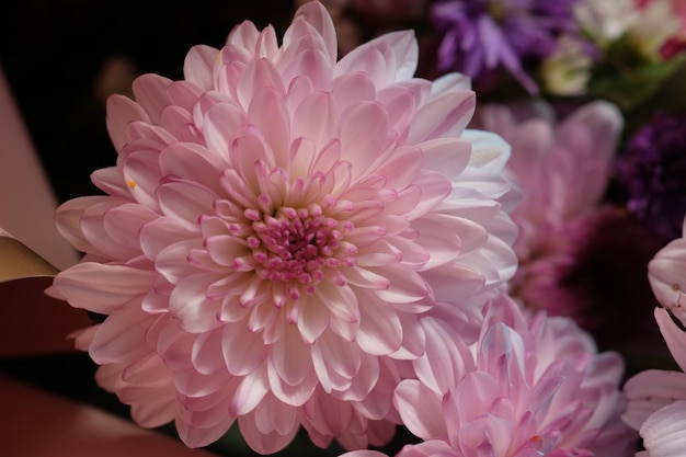 Un fiore rosa con un centro giallo