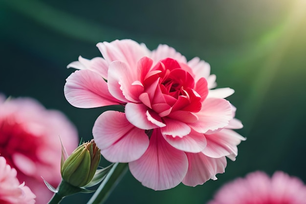 Un fiore rosa con uno sfondo verde