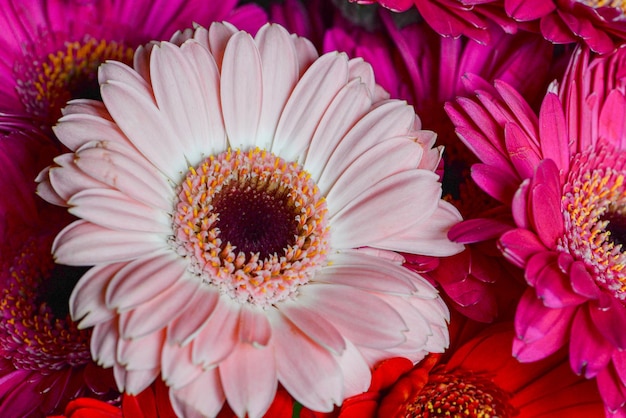 Un fiore rosa è in un mazzo di fiori.