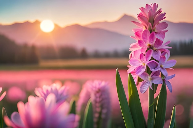 Un fiore rosa in un campo con le montagne sullo sfondo