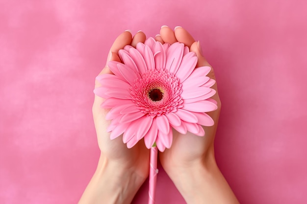 Un fiore rosa nelle mani di una donna tiene un fiore rosa.