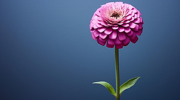 un fiore viola con un gambo verde e un fiore violetto in fondo