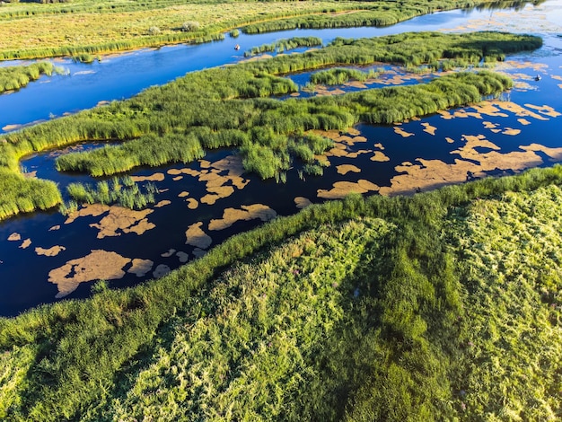 Un fiume attraversa il deserto.