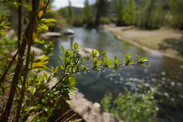 Un fiume attraversa il parco.