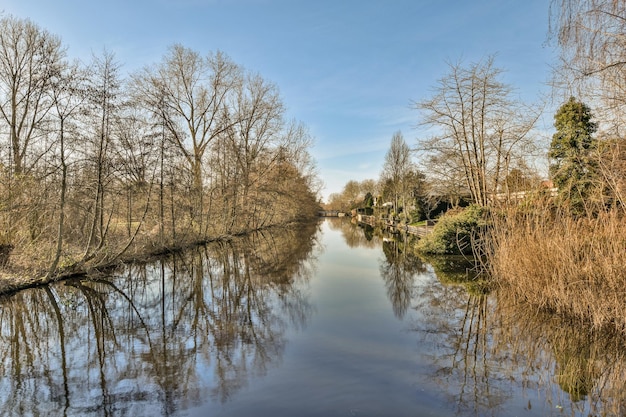 Un fiume con alberi su entrambi i lati e un blu