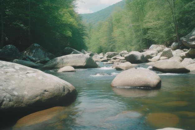 Un fiume con delle rocce e una montagna sullo sfondo