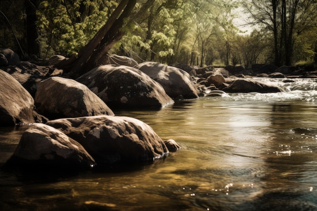 Un fiume con rocce e alberi sullo sfondo