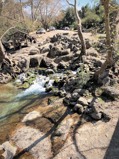 Un fiume con rocce e alberi sullo sfondo