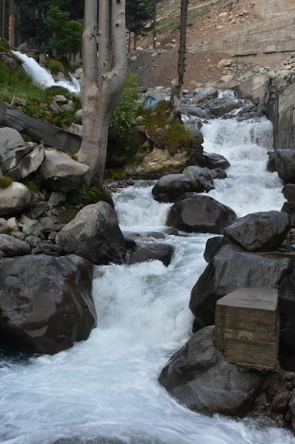 Un fiume con rocce e alberi