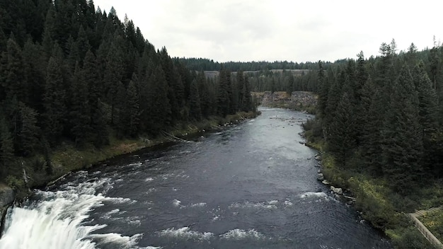 Un fiume con un fiume che lo attraversa e alberi sullo sfondo.