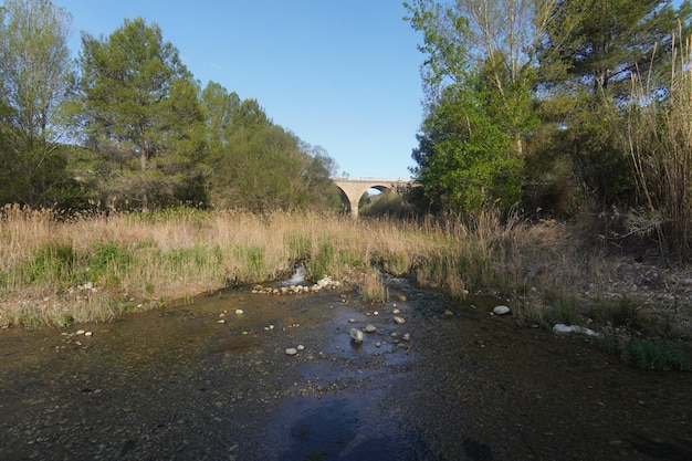 Un fiume con un ponte sullo sfondo