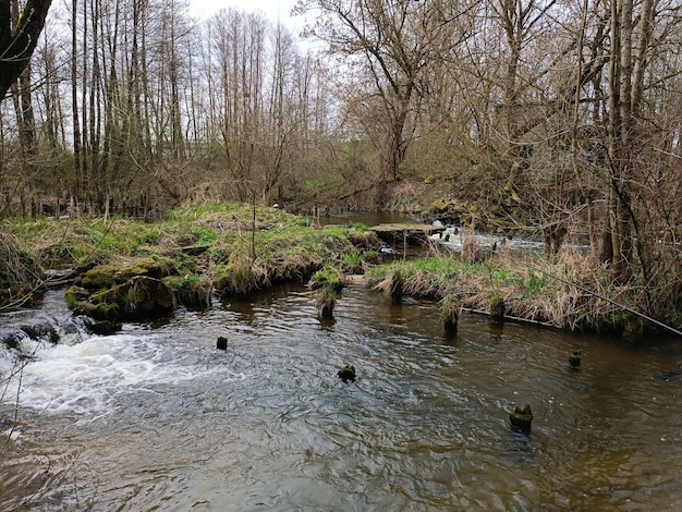 Un fiume con un ponte sullo sfondo