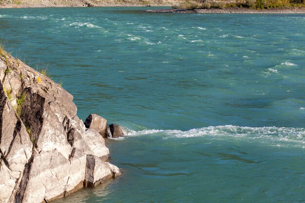 Un fiume di montagna ampio e pieno che scorre veloce. Grandi rocce sporgono dall'acqua. Grande fiume di montagna Katun, colore turchese, nelle montagne di Altai, Repubblica di Altai.